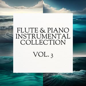 Flute & Piano Instrumental Collection, Vol. 3 - Everyday New Music