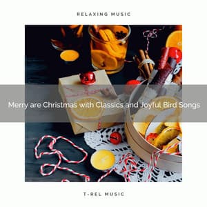Merry are Christmas with Classics and Joyful Bird Songs - Calming Sounds