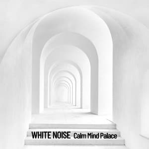 White Noise: Calm Mind Palace - Brain Timbre