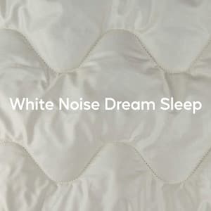 White Noise Dream Sleep - Weißes Rauschen App