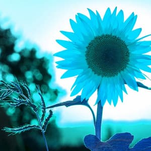 Jazz Piano Duo - Ambiance for Comfortable Moments - Piano Lounge Smooth Jazz