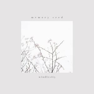 memory seed - windlesity