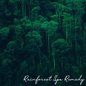 Rainforest Spa Remedy: Calming Relaxation at Spa, Full Body Massage Spa - Green Nature SPA