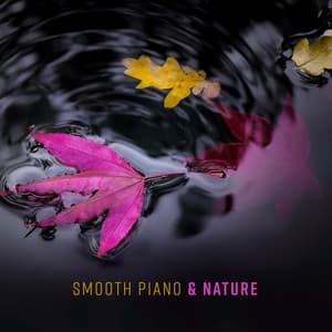 Smooth Piano & Nature – Inspiring Jazz, Black & White Relaxation, Lounge of Peace, Best Soft Vibes - Piano Jazz Background Music Masters