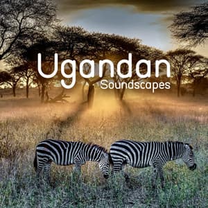Ugandan Soundscapes: Beautiful African Tribal Music - Mystic Background Music Masters