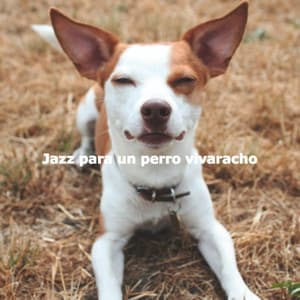 Jazz para un perro vivaracho - Relaxing Dog Music Classics