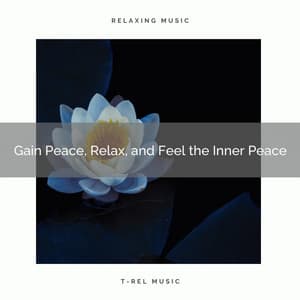 Gain Peace, Relax, and Feel the Inner Peace - Universe Energy Gathering