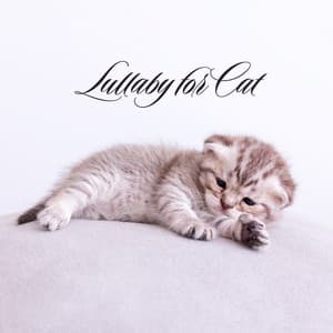 Lullaby for Cat - Calm Pets Music Academy