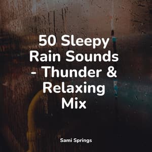 50 Sleepy Rain Sounds - Thunder & Relaxing Mix - Nature Soundscape