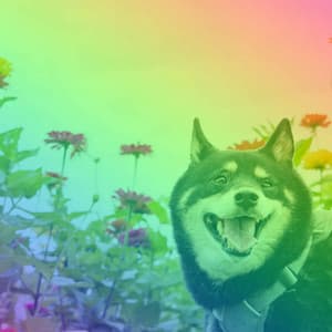 Luxurious Trio Jazz - Background for Sleepy Pup Moment - Dog Sleeping Soundtracks Deluxe