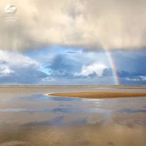 Nature's Melodic Shower - Mother Nature Ambience