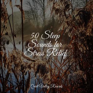 50 Sleep Sounds for Stress Relief - The Relaxing Sounds of Water