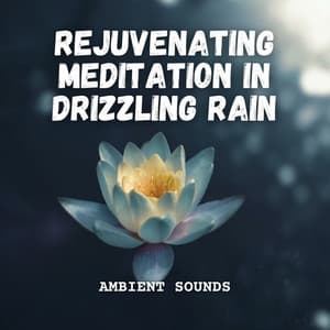 Ambient Sounds: Rejuvenating Meditation in Drizzling Rain - Gentle Rain Makers