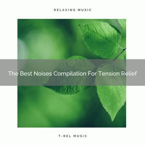 The Best Noises Compilation For Tension Relief - Baby Sleep Aid