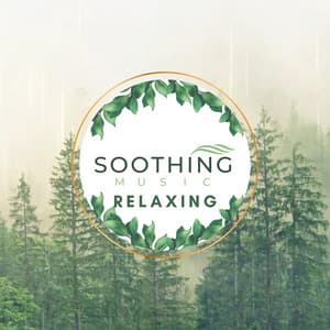 Relaxing Music - Soothing Music