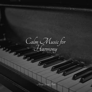 Calm Music for Harmony - Relaxing Piano Club