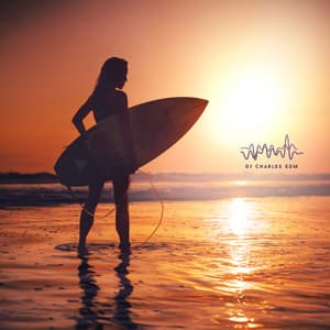 Endless Summer - DJ Charles EDM