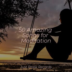 50 Amazing Songs for Meditation - Musica Reiki