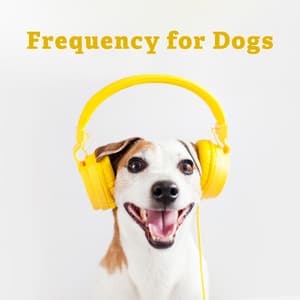 Frequency for Dogs: Furry Friend Recovering - Pet Music Academy