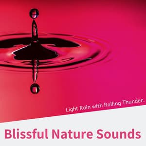 Blissful Nature Sounds: Light Rain with Rolling Thunder - Nature Sounds Radio