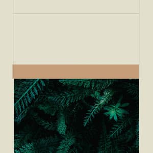 Delightful Jazz Trio - Background for Lazy Days - Relaxing Morning Jazz Playlist