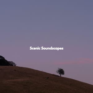 Scenic Soundscapes - Latin Jazz Playlist