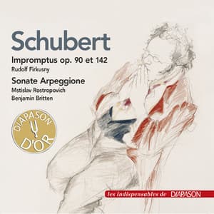 Schubert: Sonate pour arpeggione & Impromptus Op. 90 & 142 - Franz Schubert