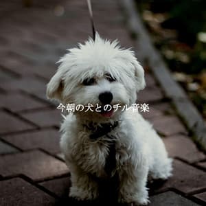 今朝の犬とのチル音楽 - Música para Restaurantes