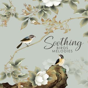 Soothing Birds Melodies: Music to Clear Your Mind from Anxiety and Stress - Calm Singing Birds Zone