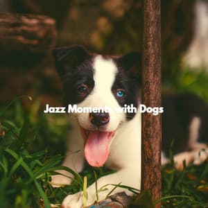Jazz Moments with Dogs - Cute Doggy Music