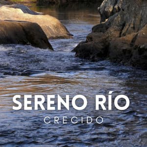 Sereno Río Crecido - Sonidos y susurros de la naturaleza