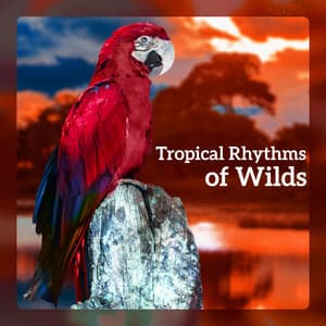 Tropical Rhythms of Wilds - Exotic Nature Kingdom