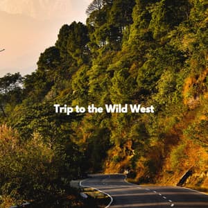 Trip to the Wild West - Chill Music for Reading