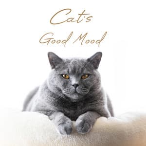 Cat's Good Mood - Jim Sieber