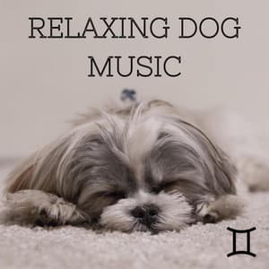 Relaxing Dog Music - Lofi Gemini