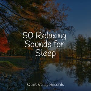 50 Relaxing Sounds for Sleep - Spa Music Collective
