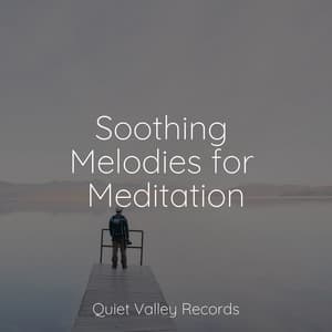 Soothing Melodies for Meditation - Musica Para Dormir y Sonidos de la Naturaleza