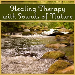 Healing Therapy with Sounds of Nature: Soothing Soundscapes for Sleep and Relaxation - Nature Sounds Paradise