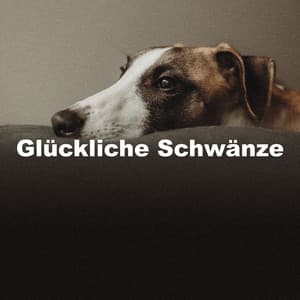 Glückliche Schwänze - Hundemusikk