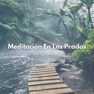 Prados Místicos: La Magia De La Meditación En Los Prados - Medicina Espiritual