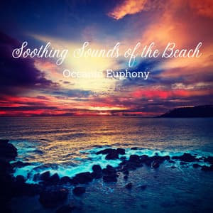 Soothing Sounds of the Beach: Oceanic Euphony - Nature Rainforest Sounds Collective.Relaxing Ocean Library