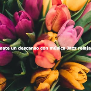 Tómate un descanso con música Jazz relajante - Música para Hoteles Lujo