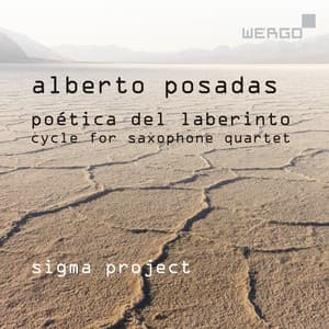 Alberto Posadas: Poética del laberinto. Cycle for Saxophone Quartet - Alberto Posadas
