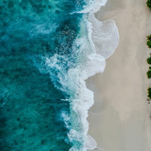 10 AM Wellness: Flow - Coastal Sounds