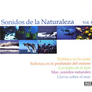 Sonidos De La Naturaleza Vol 4 - Natural Sound