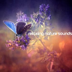 Relaxing Nature Sounds: New Age Music for Meditation & Relaxation with Nature - Lovely Nature Music Zone