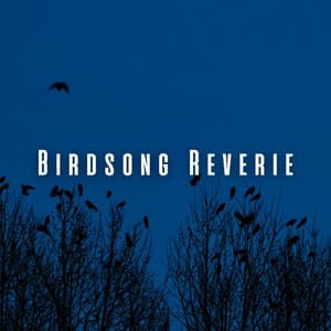 Birdsong Reverie: Tranquil Sleep with Nature's Whispers and Chill Music - Bird Song Lullabies