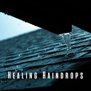 Healing Raindrops: Massage Therapy with Birds and Chill Music - Rainfall