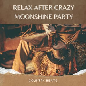 Relax After Crazy Moonshine Party - Country Beats