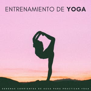 Entrenamiento De Yoga: Serenas Corrientes De Agua Para Practicar Yoga - Zona de yogui